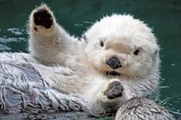 member profile image