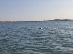 member profile image