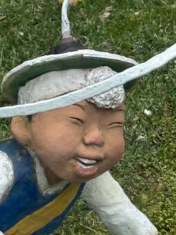 member profile image