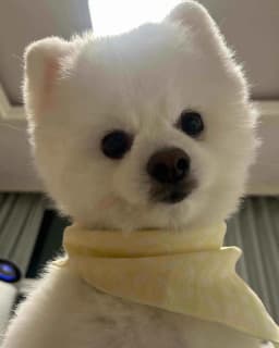 member profile image