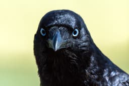 member profile image